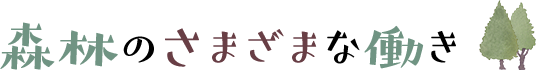 森林のさまざまな働き